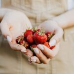 Erdbeeren als Obst oder Gemüse