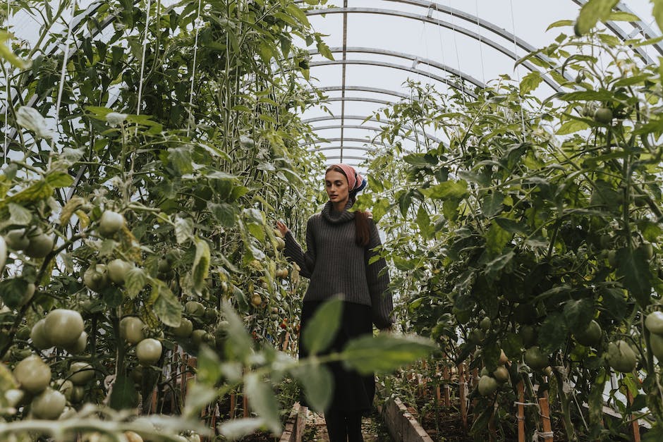 Anbaumethoden Obst Gemüse Unterschiede